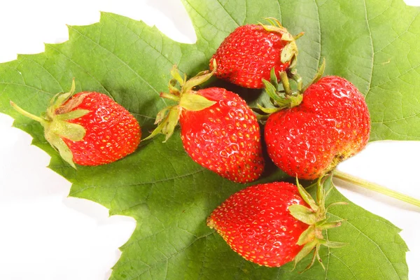 Erdbeeren auf einem Stück Traube — Stockfoto