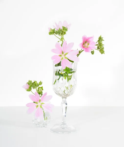 Flowers in a glass — Stock Photo, Image