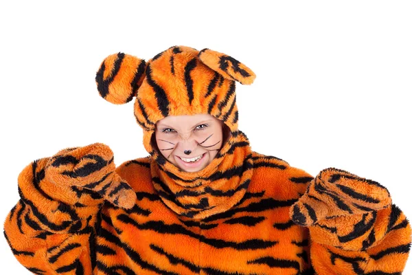 Tygrys zagniewany — Zdjęcie stockowe