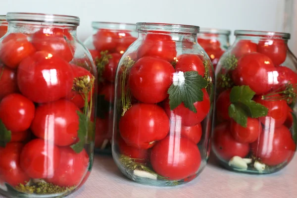 Tomates de inverno — Fotografia de Stock