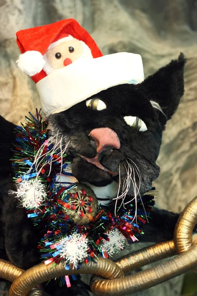 Christmas cat closeup — Stock Photo, Image