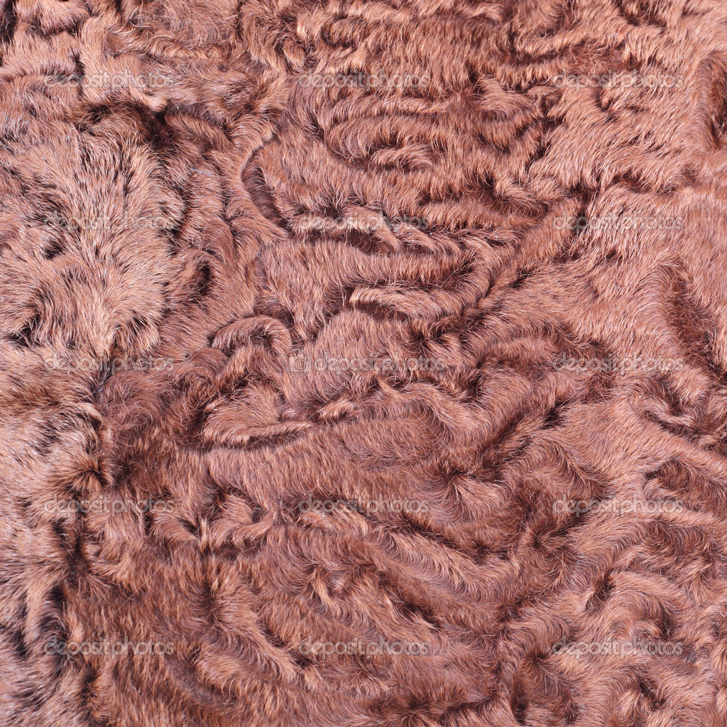 Astrakhan fur — Stock Photo © lanych 40394321