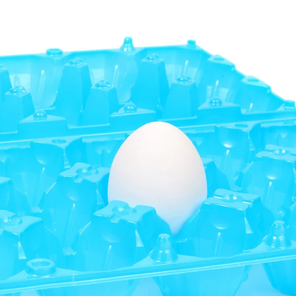The eggs — Stock Photo, Image
