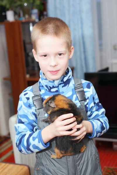 Niño y cavy — Foto de Stock