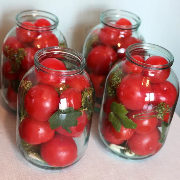 Winter tomatoes — Stock Photo, Image