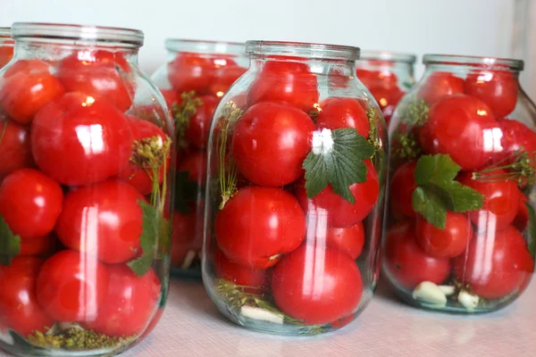 Winter tomatoes — Stock Photo, Image