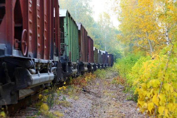 Autumn locomotive — Stock Photo, Image