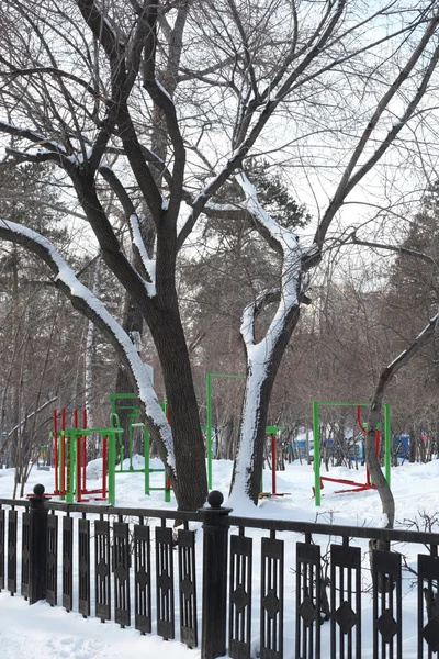 冬季雪园 — 图库照片