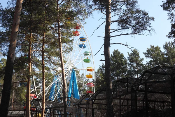 Roda grande parque — Fotografia de Stock