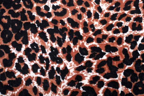 Leopardenornament — Stockfoto