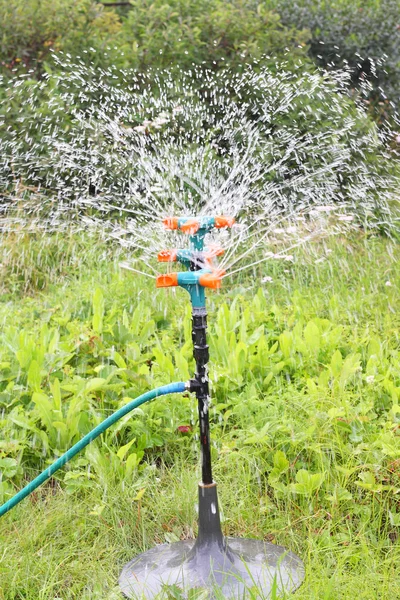 Sprinkle spraying the water — Stock Photo, Image