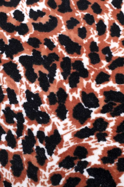 Leopard ornament — Stock Photo, Image