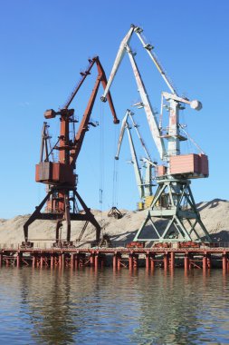 Nehri üzerinde yüzen Vinçler