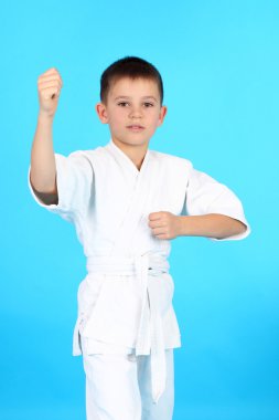 Karate gösteren çocuk tutar