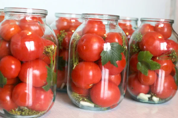 Winter tomatoes — Stock Photo, Image