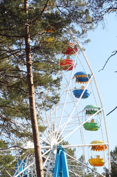 Roda grande parque — Fotografia de Stock