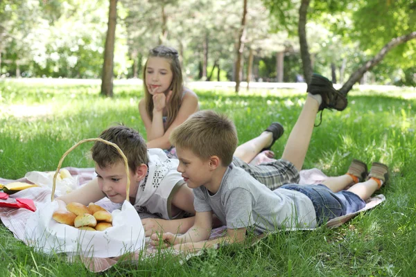 Picknick — Stockfoto