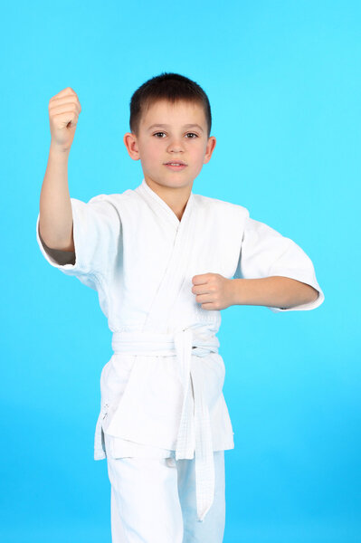 Boy demonstrating karate holds