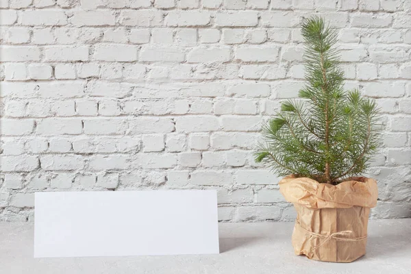 Mini Vánoční Stromek Cihlové Zdi Bílým Listem Papíru Minimalistický Styl — Stock fotografie