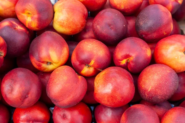 Heldere Rode Gele Biologische Nectarines Markt Gezond Voedsel Rechtenvrije Stockafbeeldingen