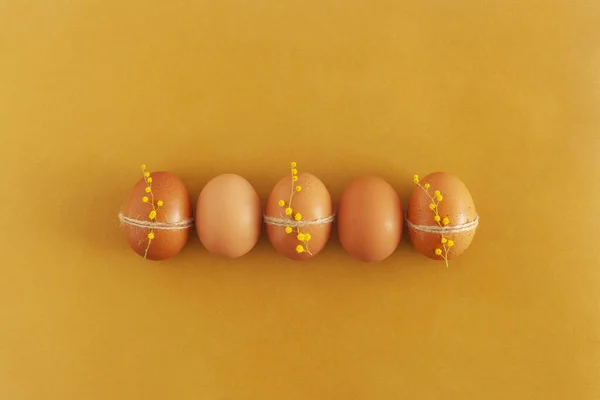 Fünf Braune Ostereier Mit Mimosenblüten Dekoriert Gelber Hintergrund Draufsicht — Stockfoto