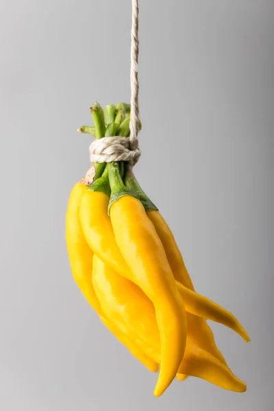 Κίτρινες Πιπεριές Τσίλι Κρεμασμένες Από Σπάγκο — Φωτογραφία Αρχείου