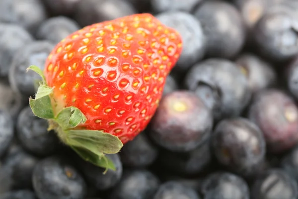 Blue berry and strawberry — Stock Photo, Image