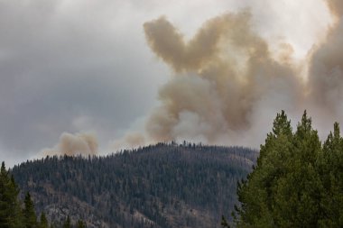 Yenilmez orman yangınının en üst görüntüsü.