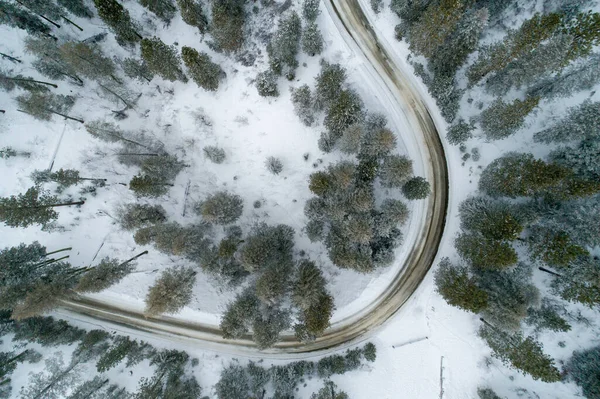 Вождение через лес в зимний период — стоковое фото