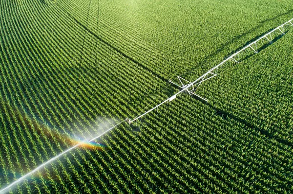 Sprinklers Watering Crop Making Rainbow — Fotografia de Stock