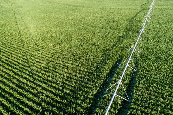 Pipes Brining Water Help Hydrate Corn Crop — Stok Foto