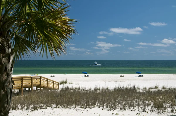 Plage de Gulf Coast Image En Vente