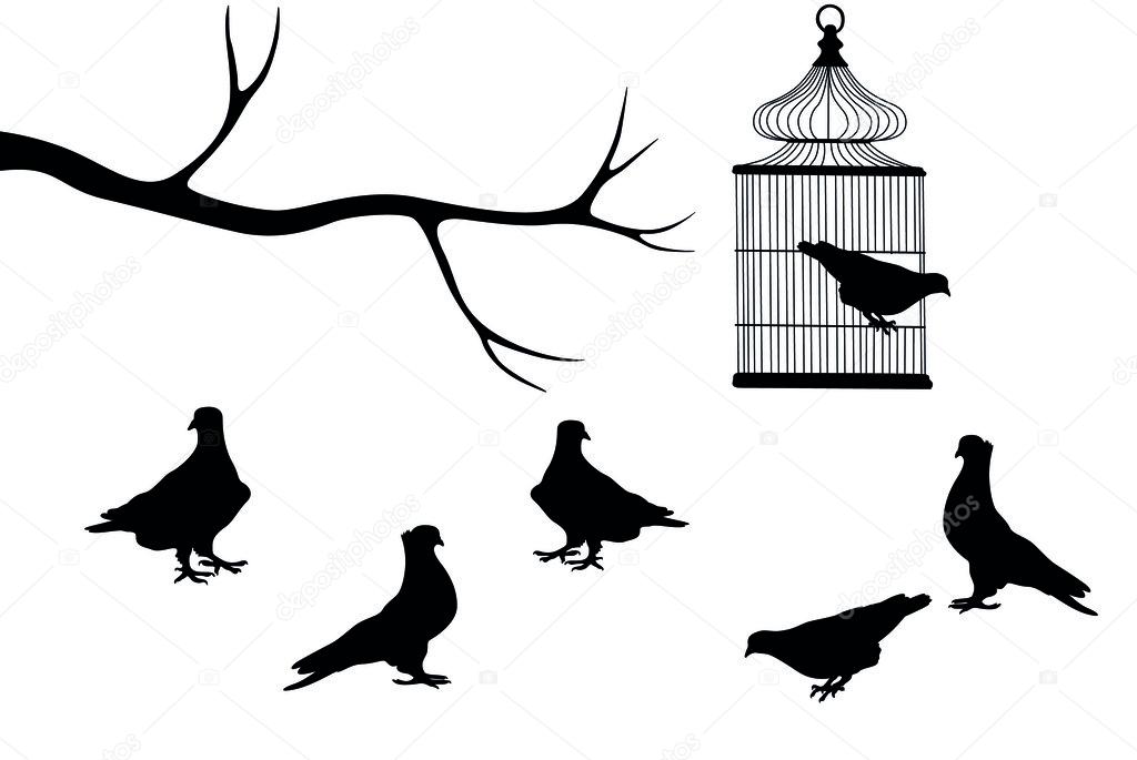 Birds and cage
