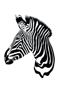 doku zebra deri siyah