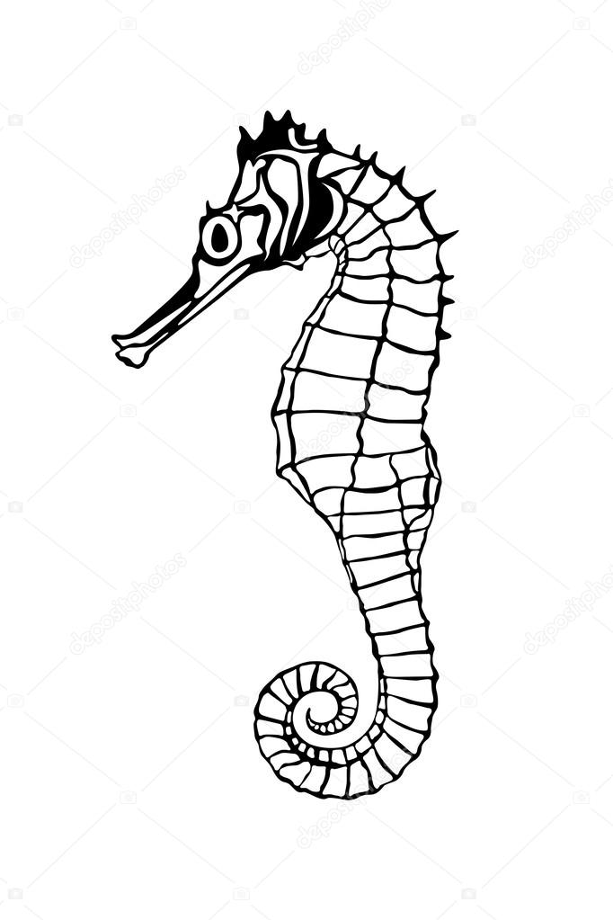 Sea horse black silhouette