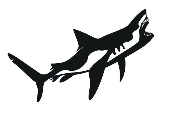 ปลาฉลาม — ภาพเวกเตอร์สต็อก