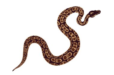 yılan