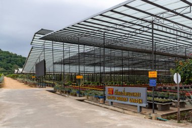 PATTAYA, THAILAND - 5 Mayıs 2022; Nongnooch Tropikal Botanik Bahçesi çok popüler bir turizm merkezidir. Dünyanın en güzel 10 bahçesinden biri olarak kabul edilir. Chonburi 'de..