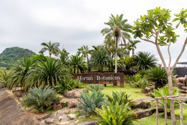 PATTAYA, THAILAND - 5 Mayıs 2022; Nongnooch Tropikal Botanik Bahçesi çok popüler bir turizm merkezidir. Dünyanın en güzel 10 bahçesinden biri olarak kabul edilir. Chonburi 'de..