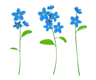 Unutma beni çiçekleri.