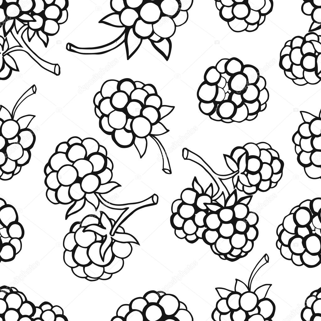 Seamless pattern  of berries