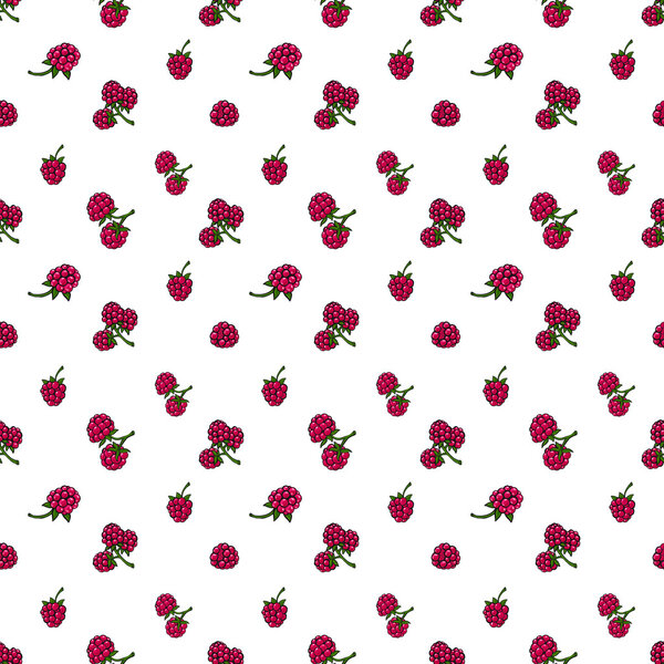 Seamless pattern  of berries