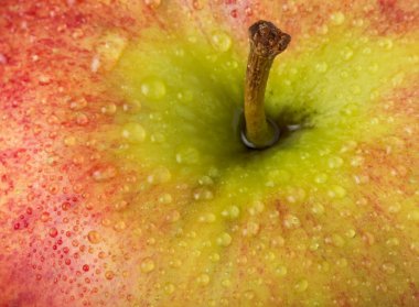 Apple yakın çekim