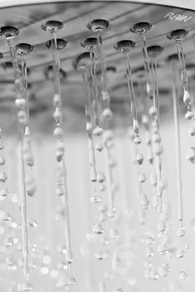 Shower head — Stock Photo, Image