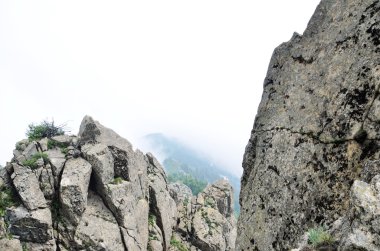 dağın tepesinde kaya