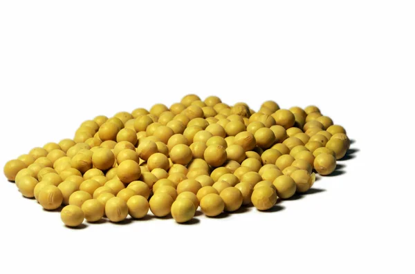 Fagioli di soia — Foto Stock