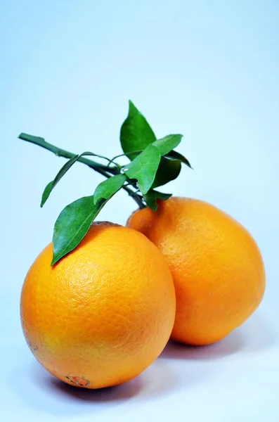 Laranja — Fotografia de Stock