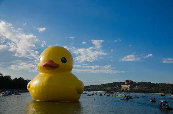 The rubber duck in summer palace — Stock Photo, Image