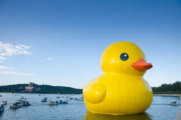 The rubber duck in summer palace — Stock Photo, Image