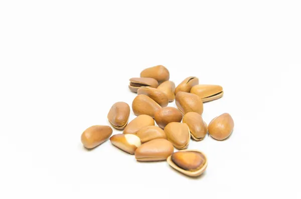 Pine nut — Stock Photo, Image